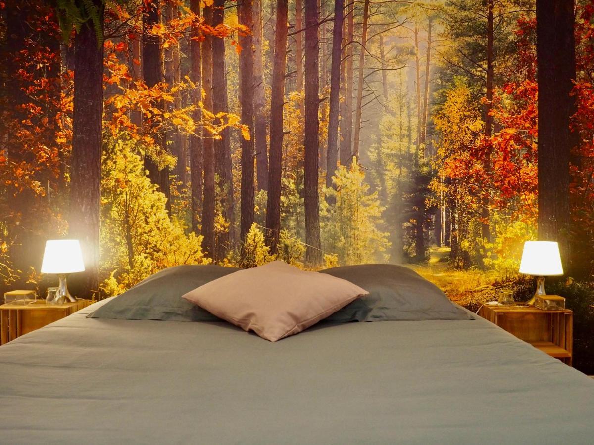 Camino Real Guest house Saint-Jean-Pied-de-Port