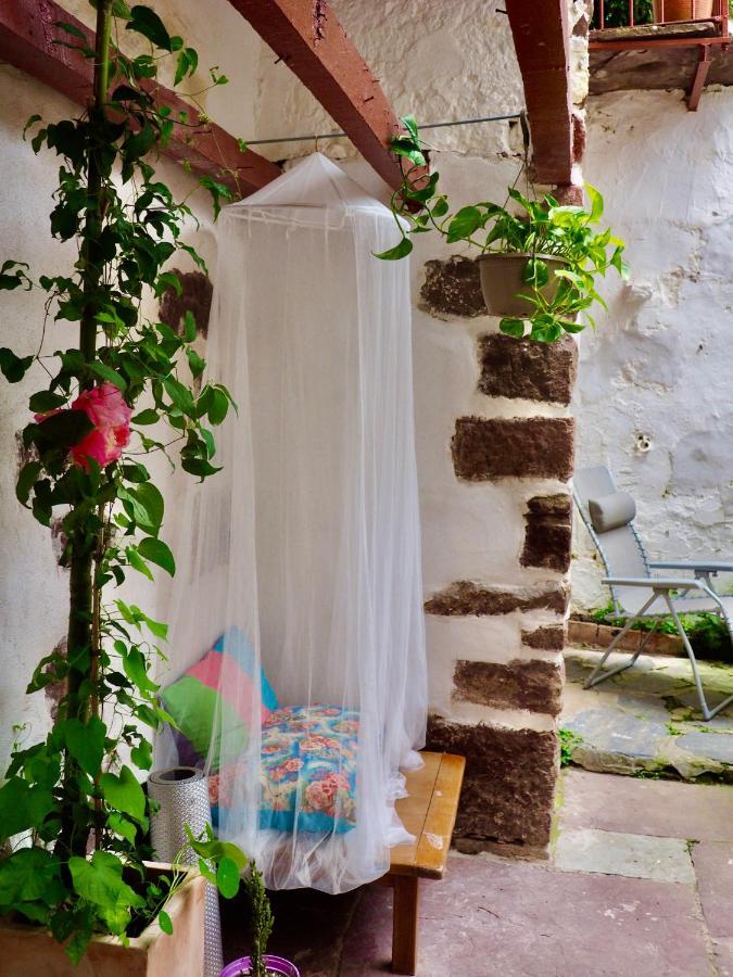 Guest house Camino Real *