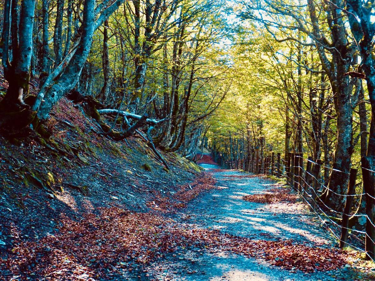 Camino Real Saint-Jean-Pied-de-Port